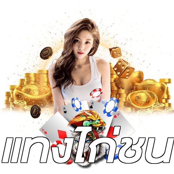 แทงไก่ชน